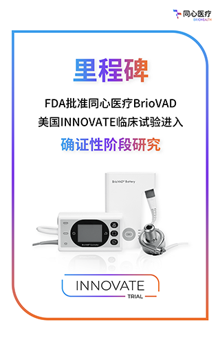 ��8ͷ�����(�й���½)-�ٷ���վ