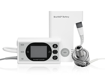 ��8ͷ�����(�й���½)-�ٷ���վ