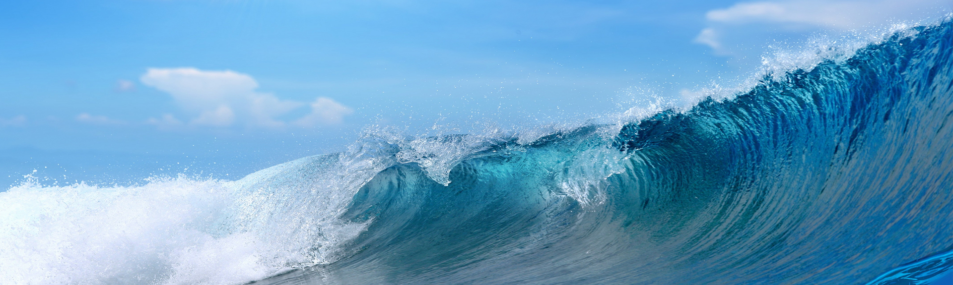 ��8ͷ�����(�й���½)-�ٷ���վ