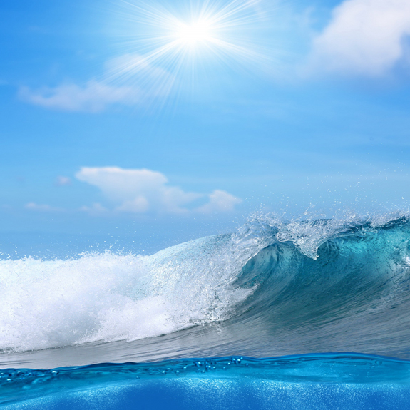 ��8ͷ�����(�й���½)-�ٷ���վ