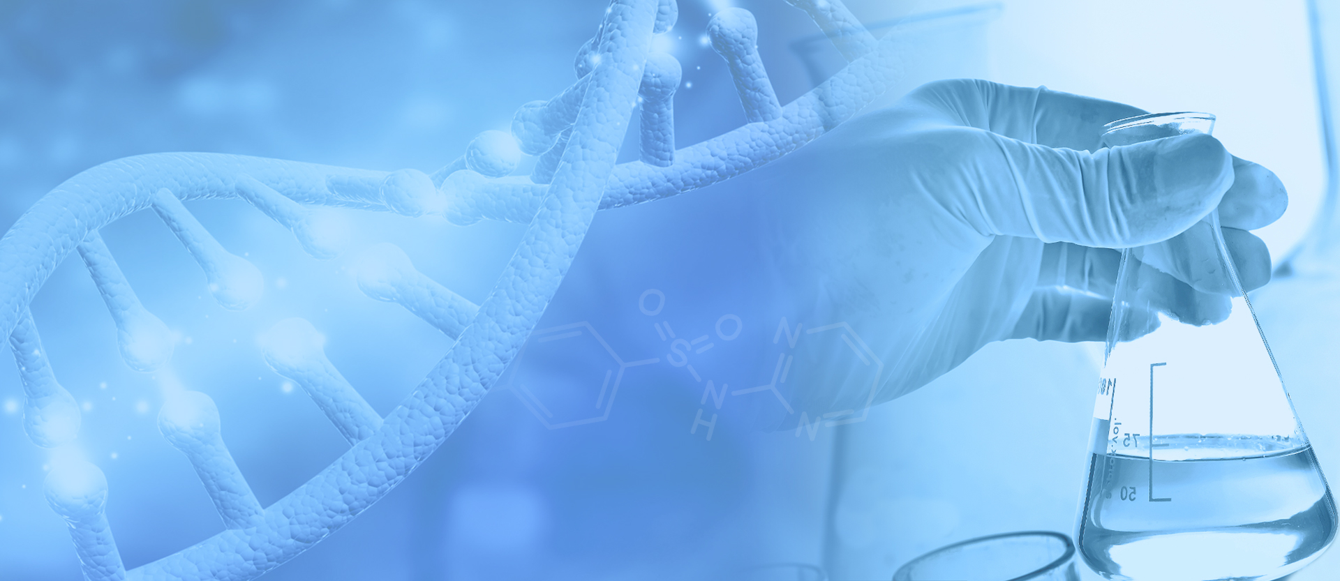 ��8ͷ�����(�й���½)-�ٷ���վ