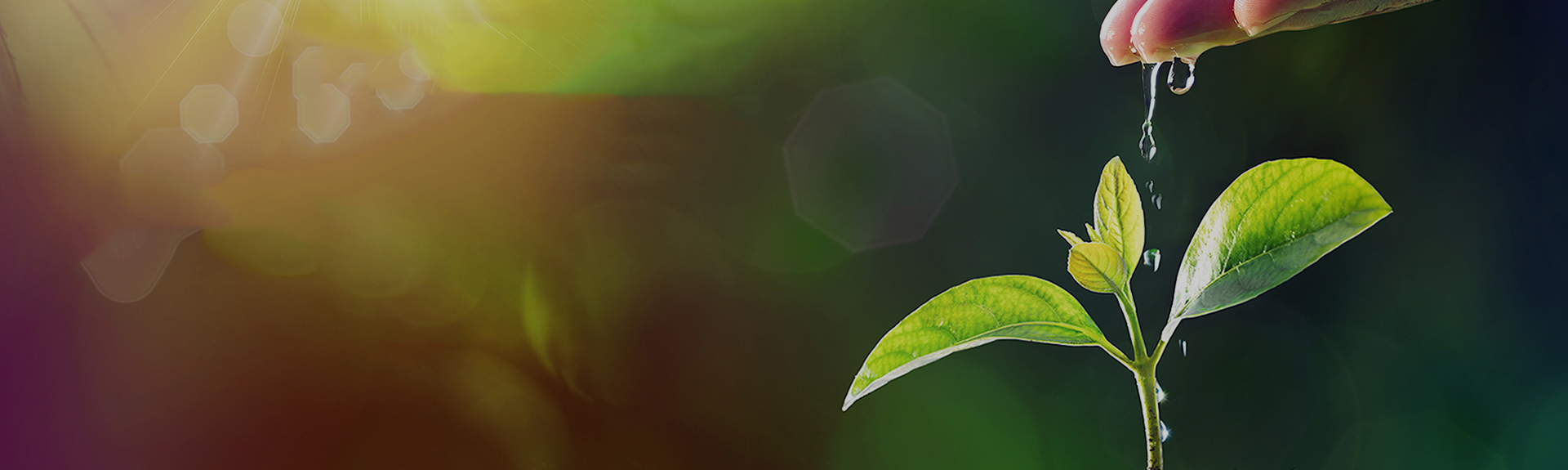 Áú8Í·ºÅÍæ¼Ò(Öйú´ó½)-¹Ù·½ÍøÕ¾