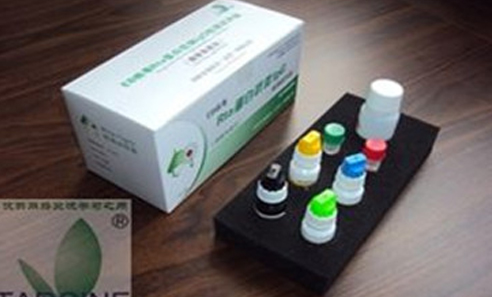 ��8ͷ�����(�й���½)-�ٷ���վ