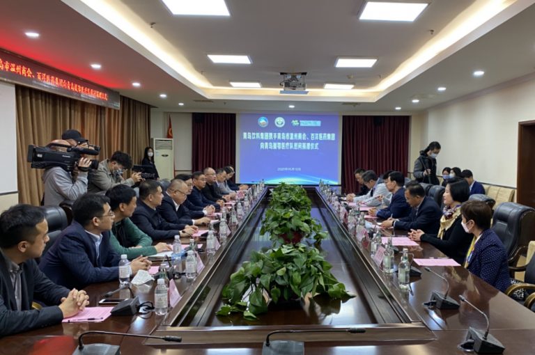 ��8ͷ�����(�й���½)-�ٷ���վ