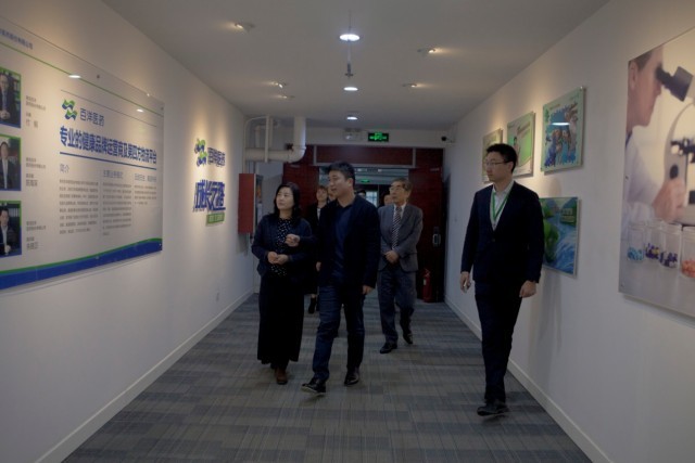 ��8ͷ�����(�й���½)-�ٷ���վ