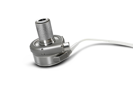 ��8ͷ�����(�й���½)-�ٷ���վ